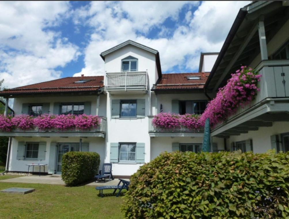 Ferienwohnanlage Bruennstein Wohnung 54 Oberaudorf Eksteriør billede